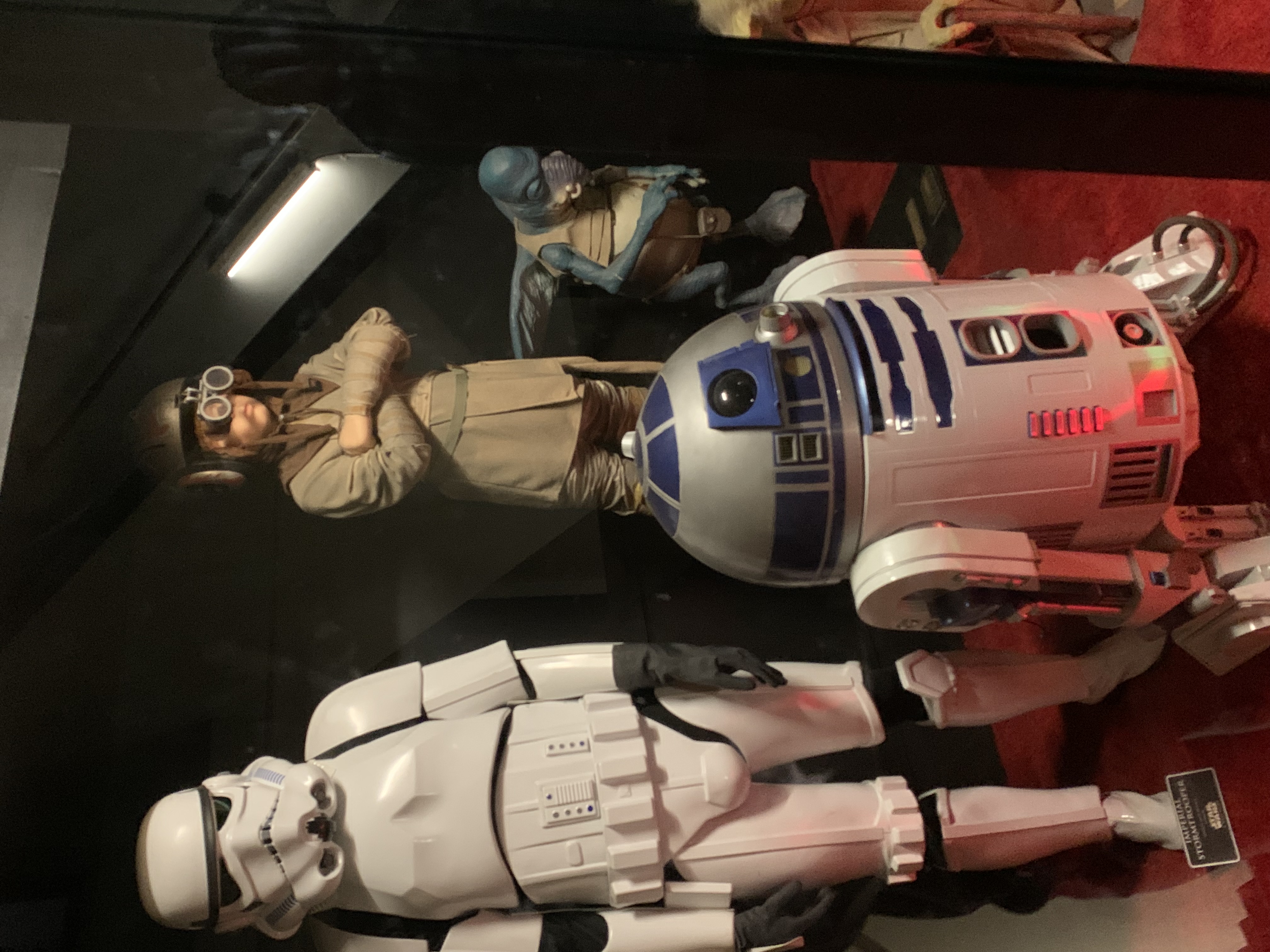 ./2022/06 - St Louis/06 - Day 6/20220526-143948803.JPG